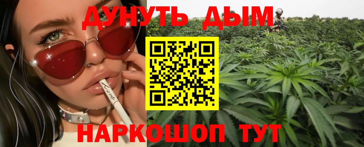 Волжский  Конопля OG Kush  Вход с VPN  Бошки марихуана Ganja  Марихуана планчик 